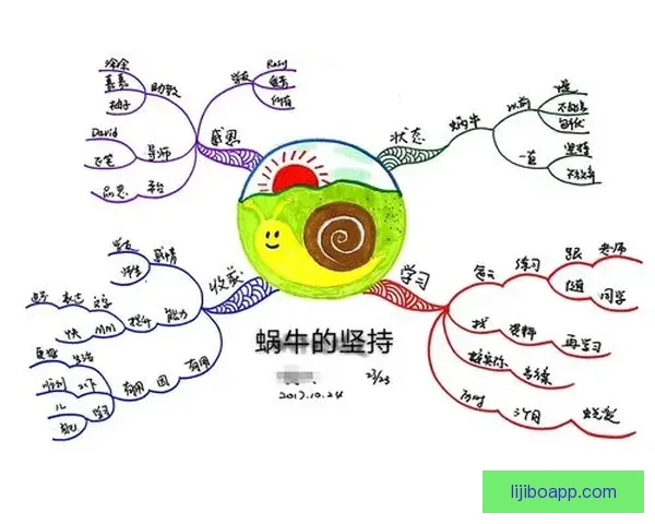 冲破极限的背后故事：运动员谈奋斗与坚持的心路历程